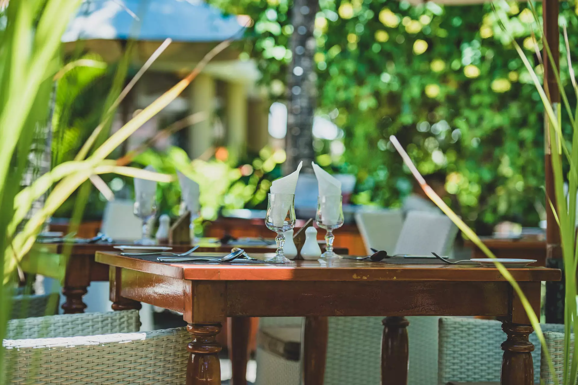 Aanari - Restaurant - Mauritius.com (2).webp