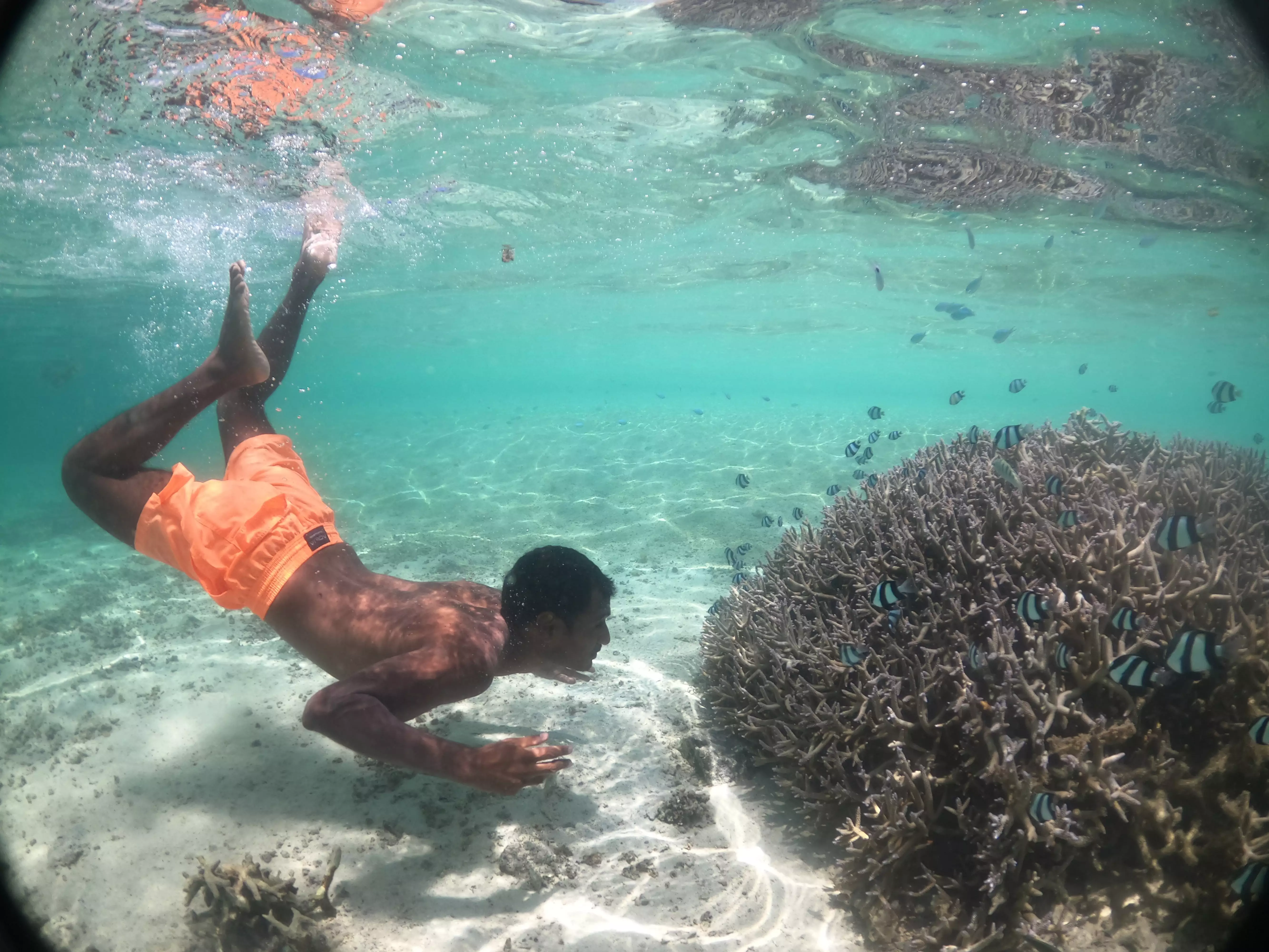 Astroea Beach Hotel Mauritius - Activities-(4).webp