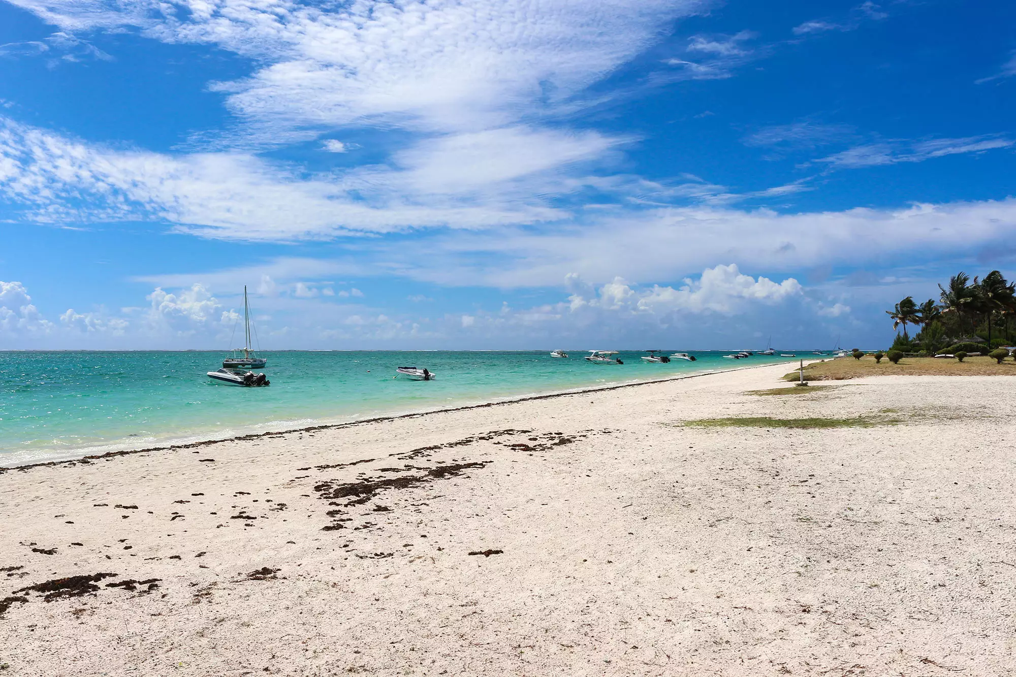 Blue Nest By Horizon Holidays (63).webp