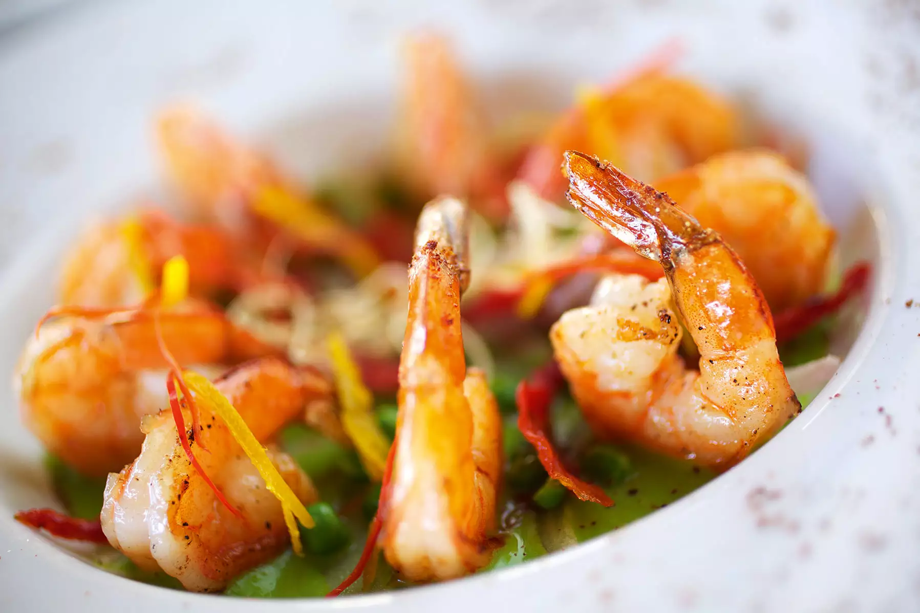 Constance Prince Maurice (26).webp