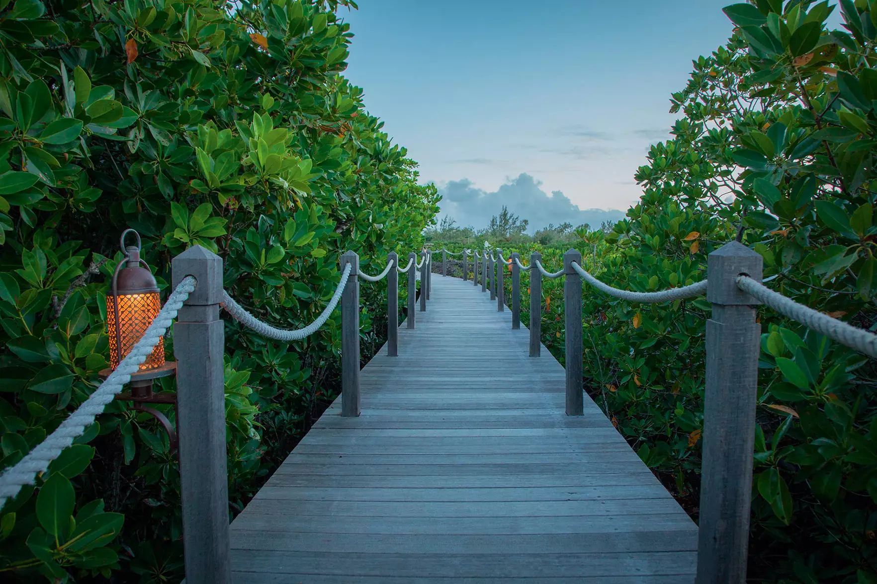 Constance Prince Maurice (49).webp