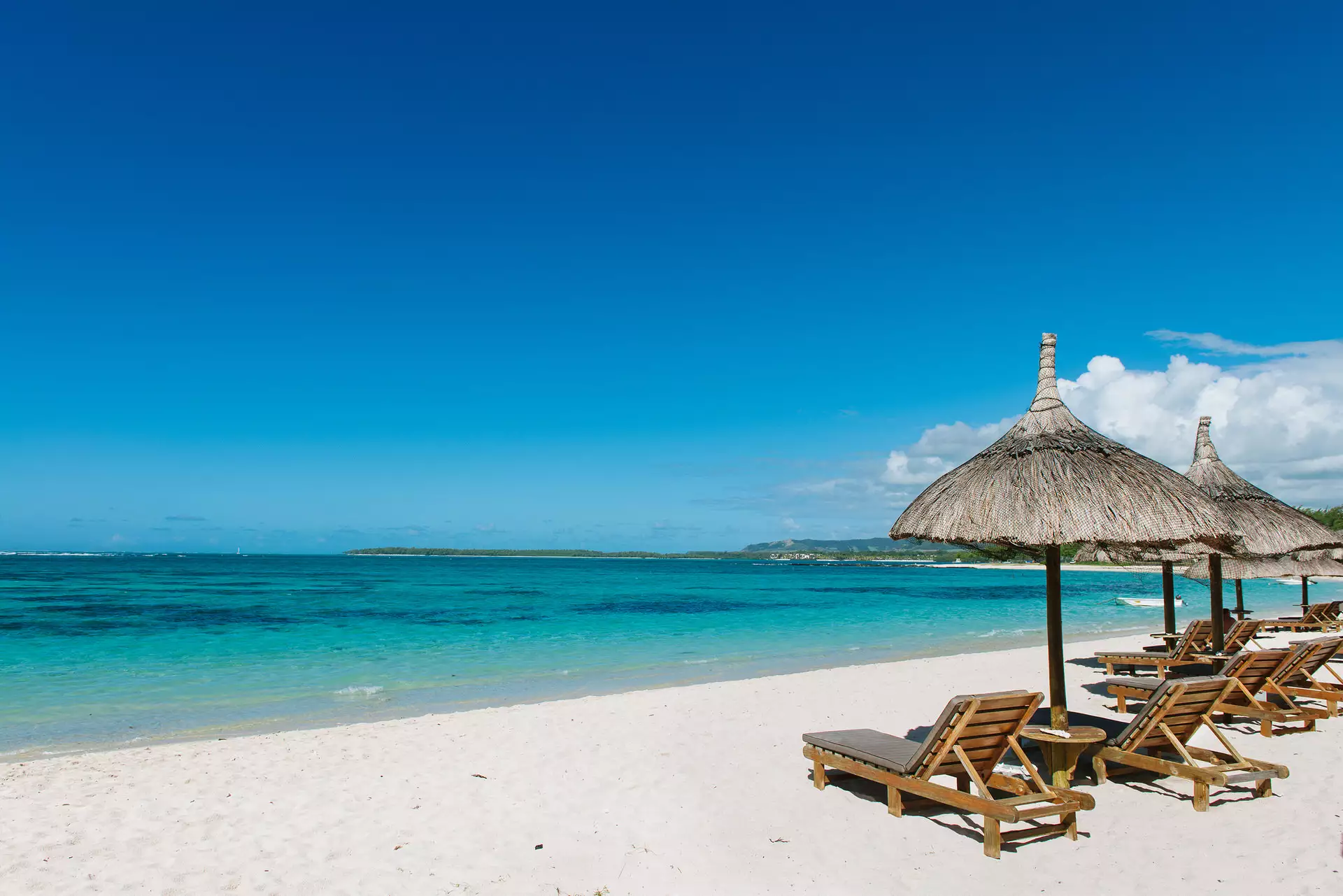 Friday-Attitude (8).webp