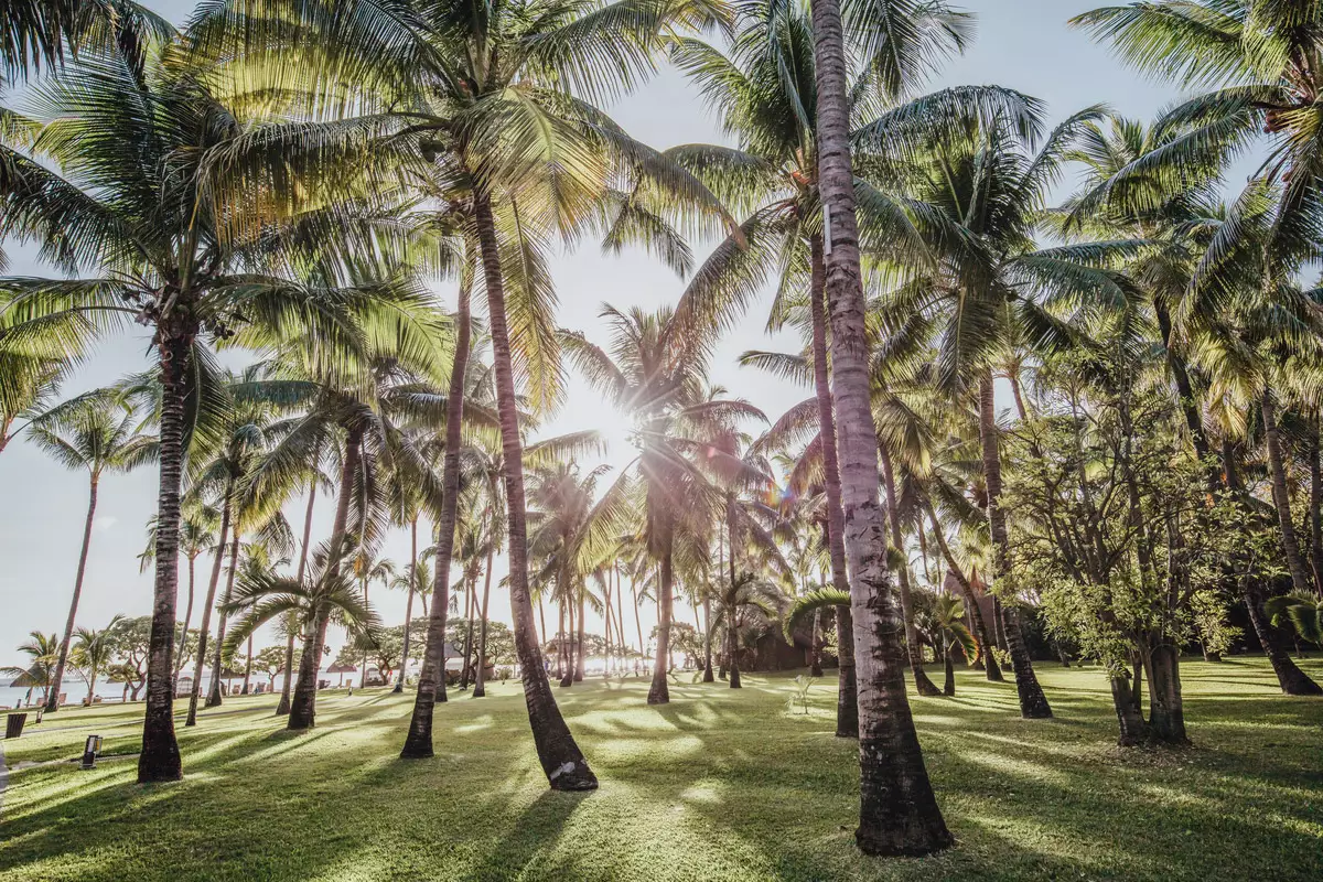 La Pirogue Mauritius, A Sunlife Resort_Architecture (10).webp