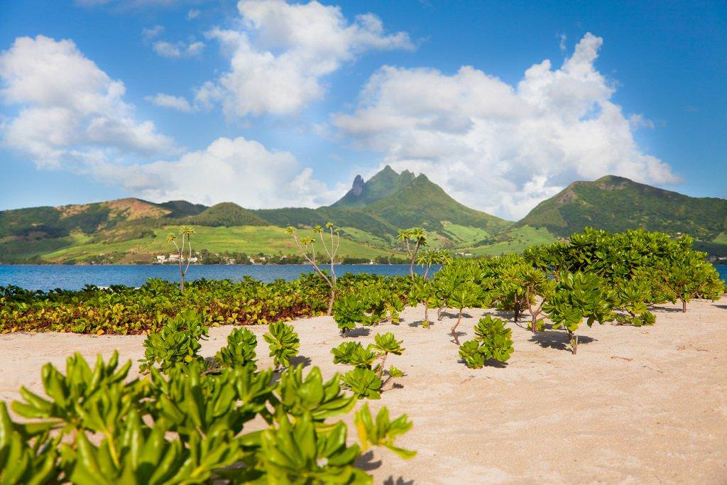 Laguna Beach Hotel and Spa_beach (5).jpg