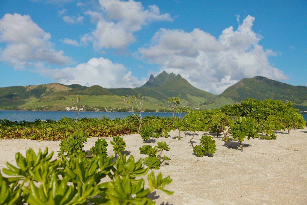 Laguna Beach Hotel and Spa_beach (6).jpg