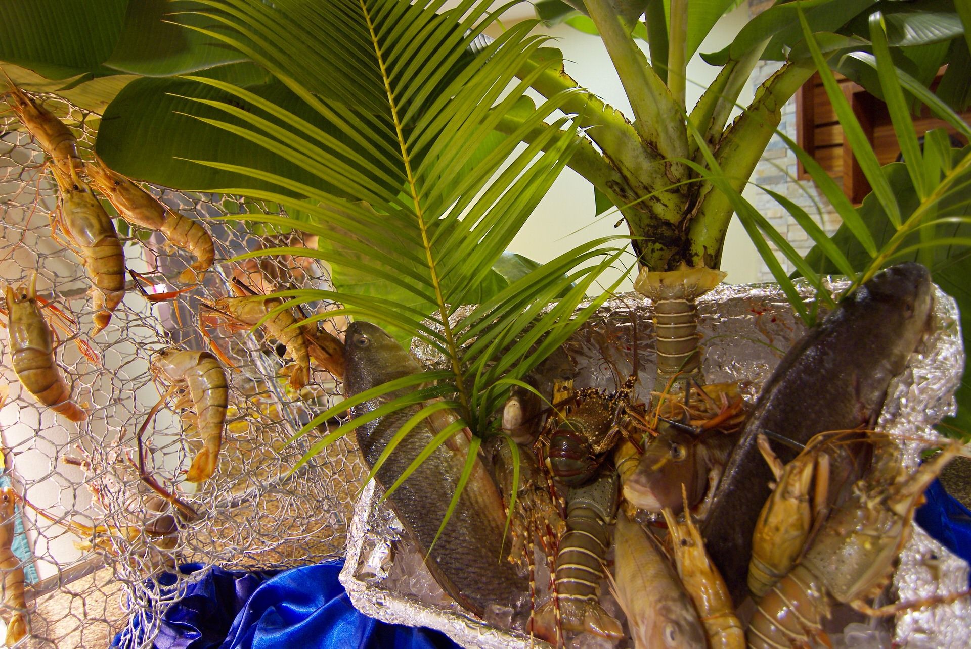 Laguna Beach Hotel and Spa_restaurant (4).JPG