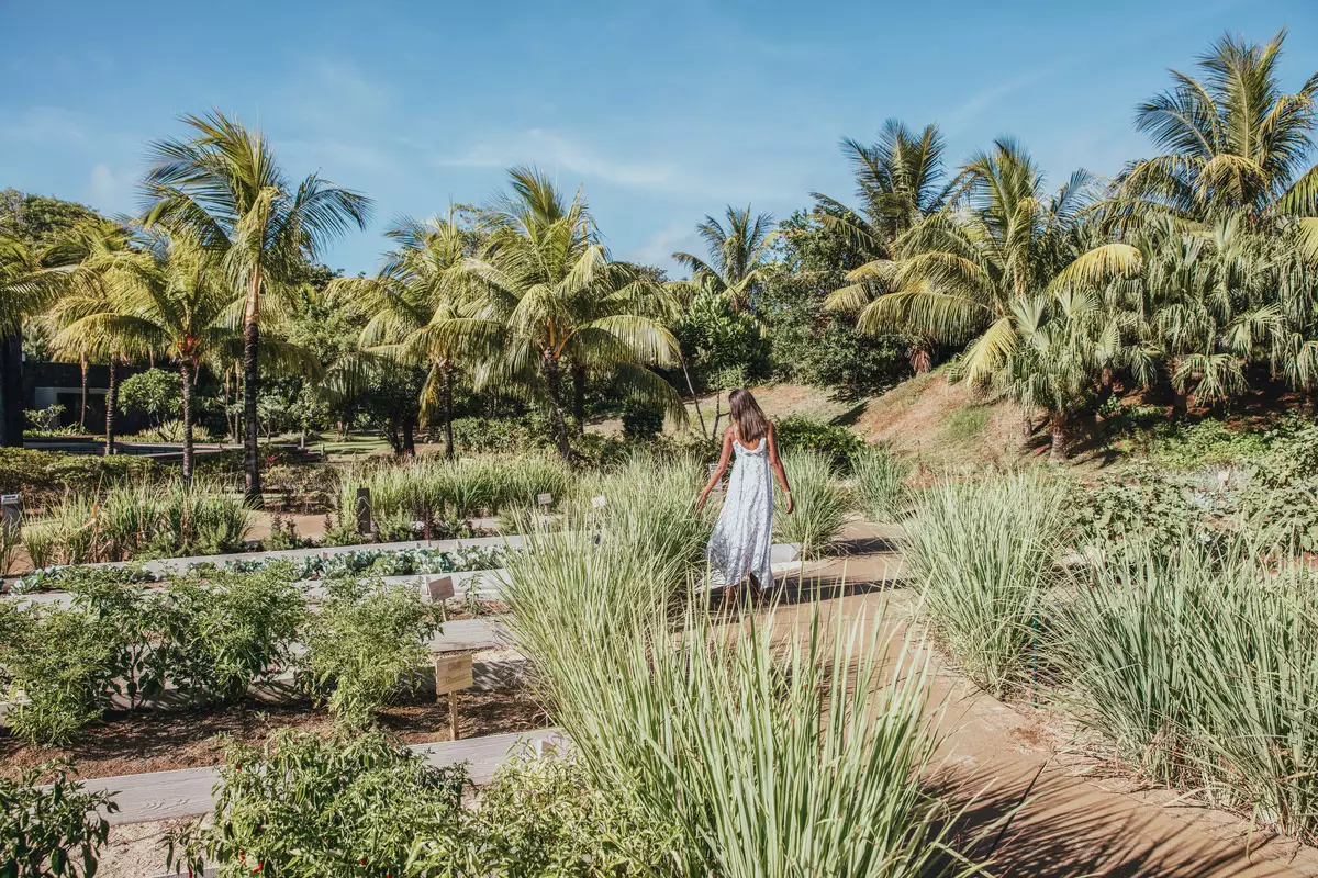 Long Beach A Sun Resort_CHEF-GARDEN.webp