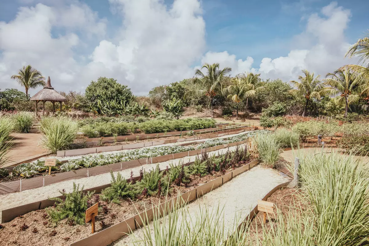 Long Beach A Sun Resort_-CHEF-GARDEN (2).webp