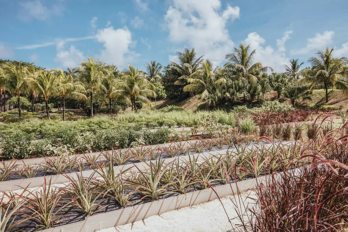 Long Beach A Sun Resort_-CHEF-GARDEN (3).webp