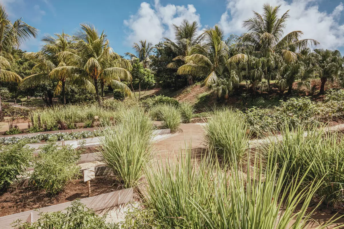 Long Beach A Sun Resort_-CHEF-GARDEN (4).webp