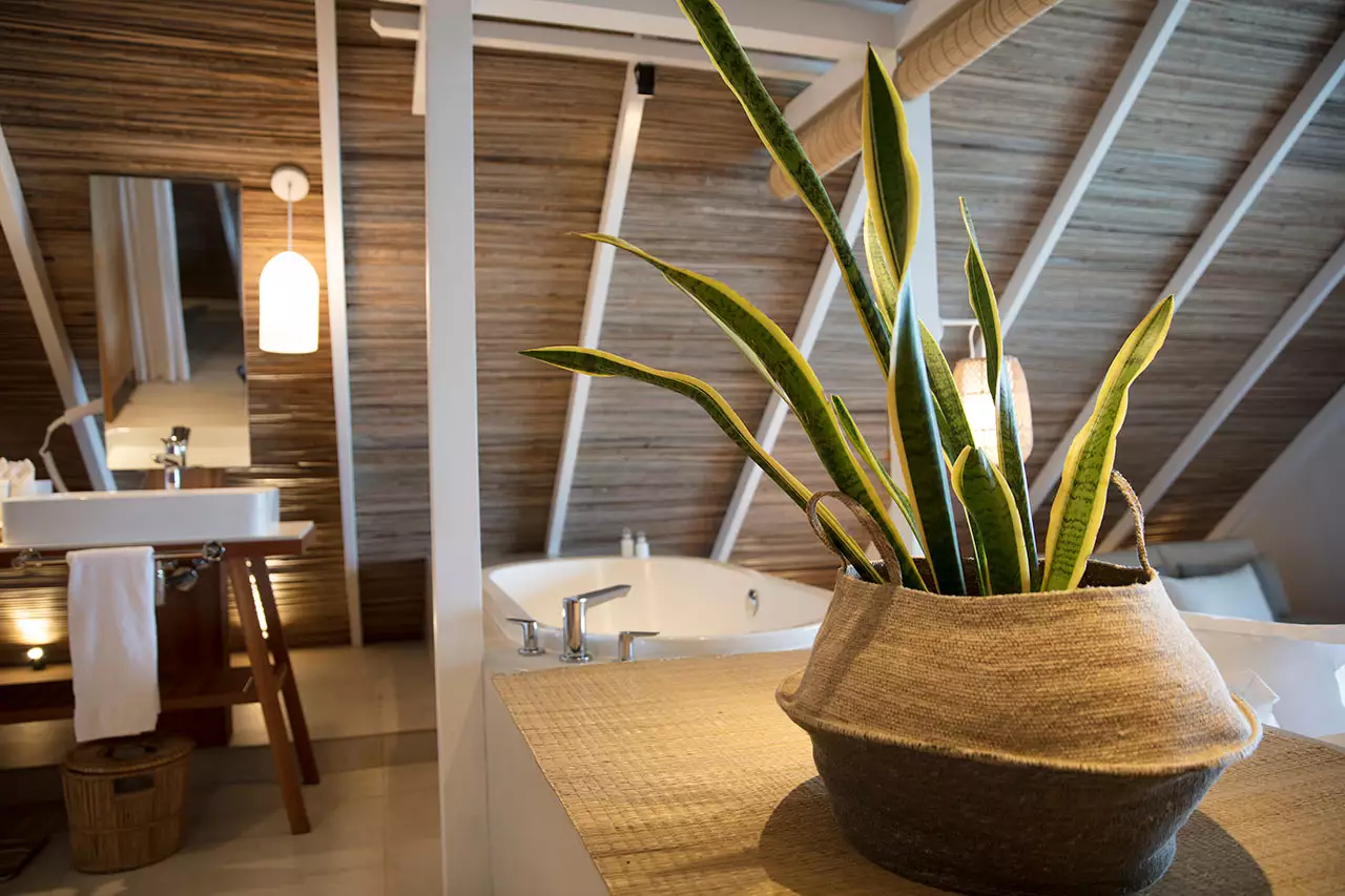 Preskil Island Resort_Junior-Suite-(2).webp