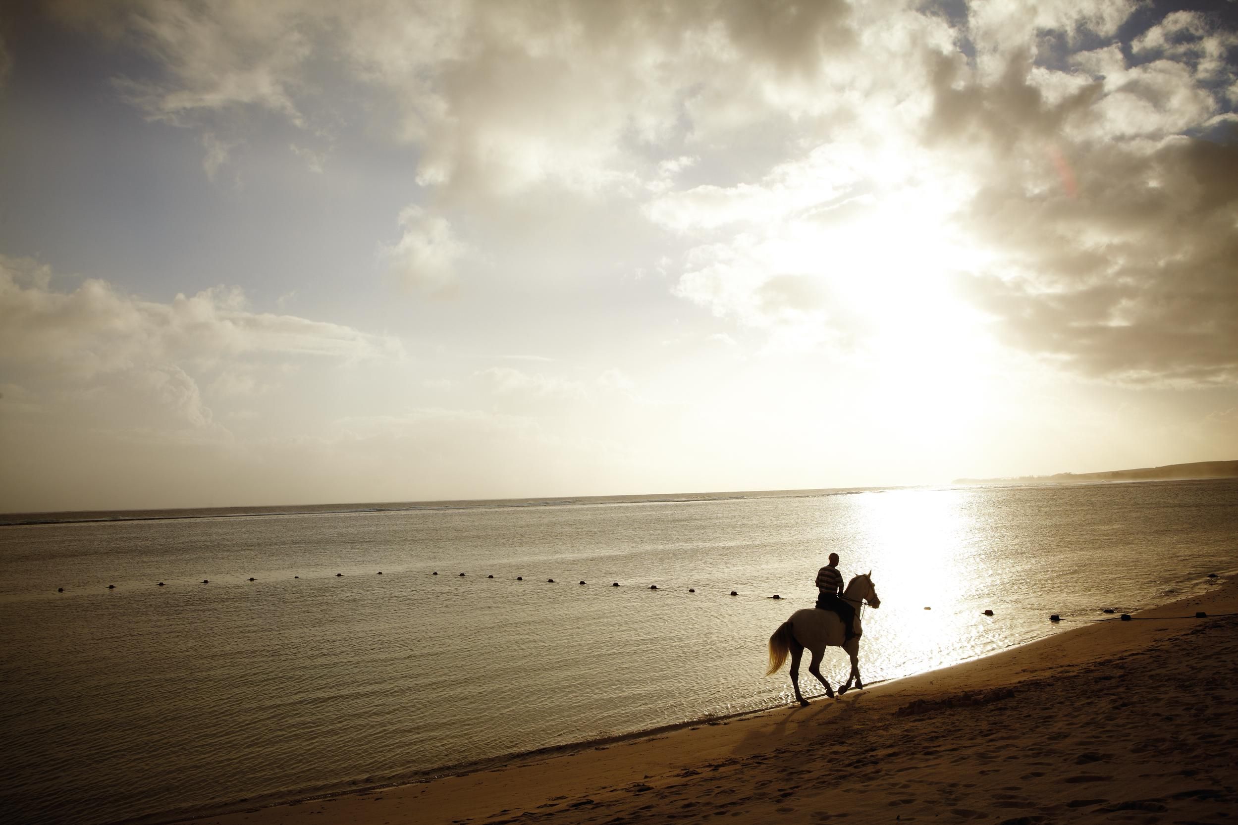 Shanti Maurice Resort and Spa - Beach-Horse.jpg