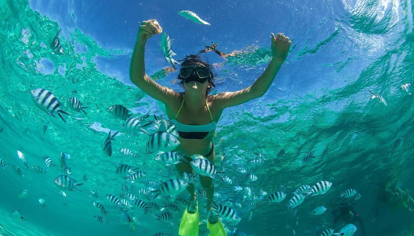 Shanti Maurice Resort and Spa - snorkelling.jpg