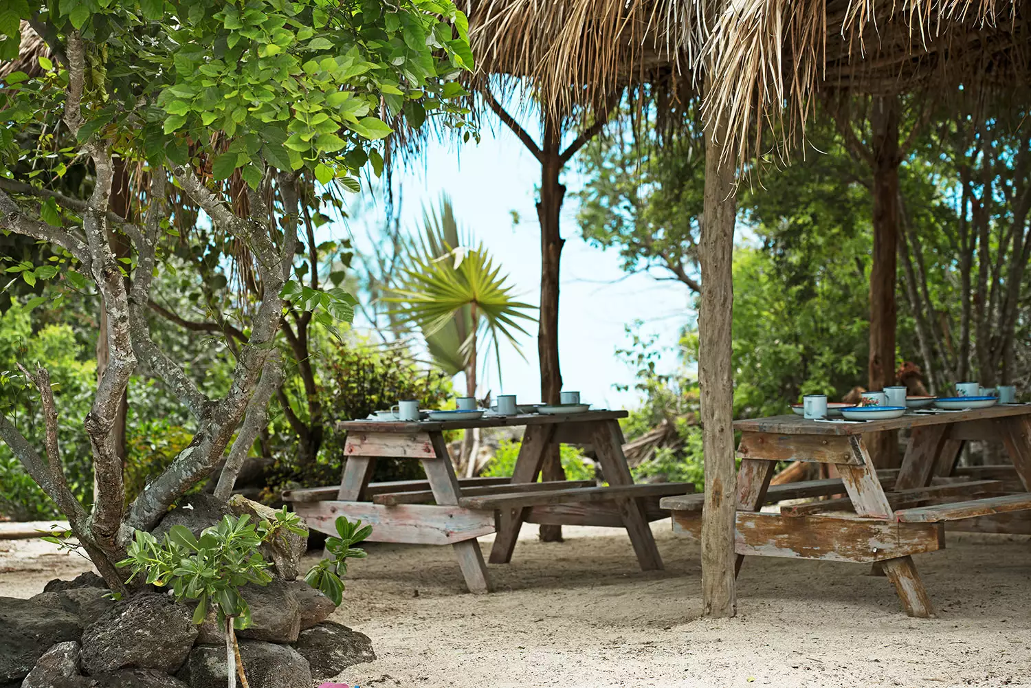 Zilwa-Attitude-Gran Zil 02.webp