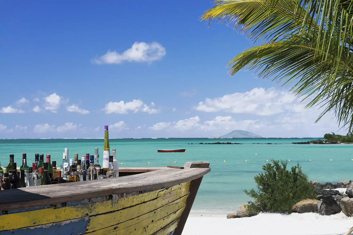 Zilwa-Attitude-bar Lor Disab 01.webp