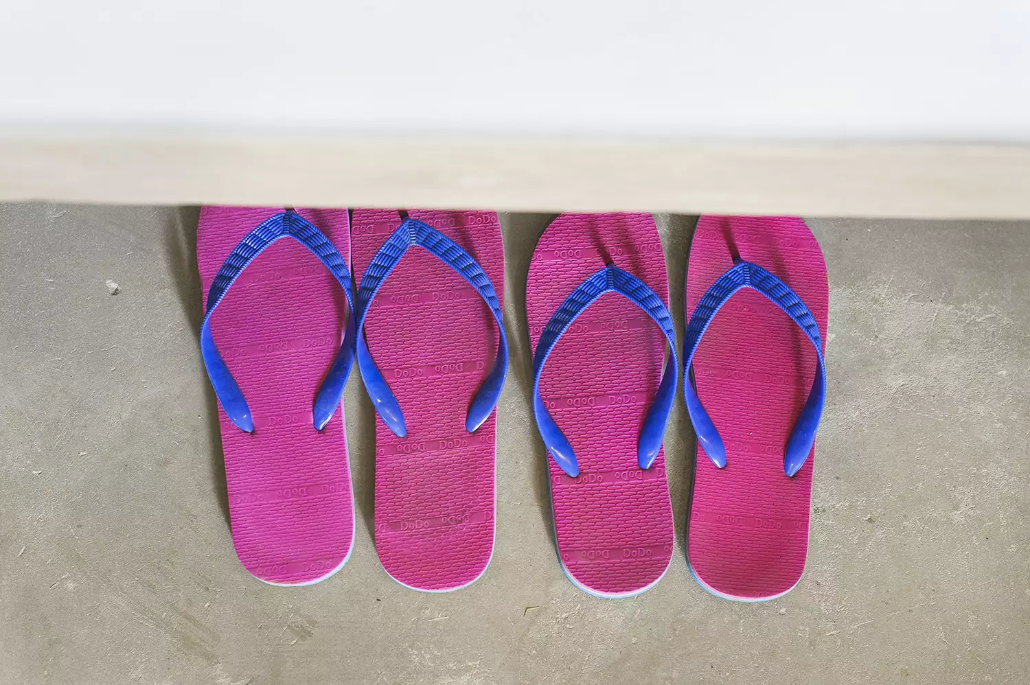 Zilwa-Attitude-typiques paires de -savate Dodo.webp